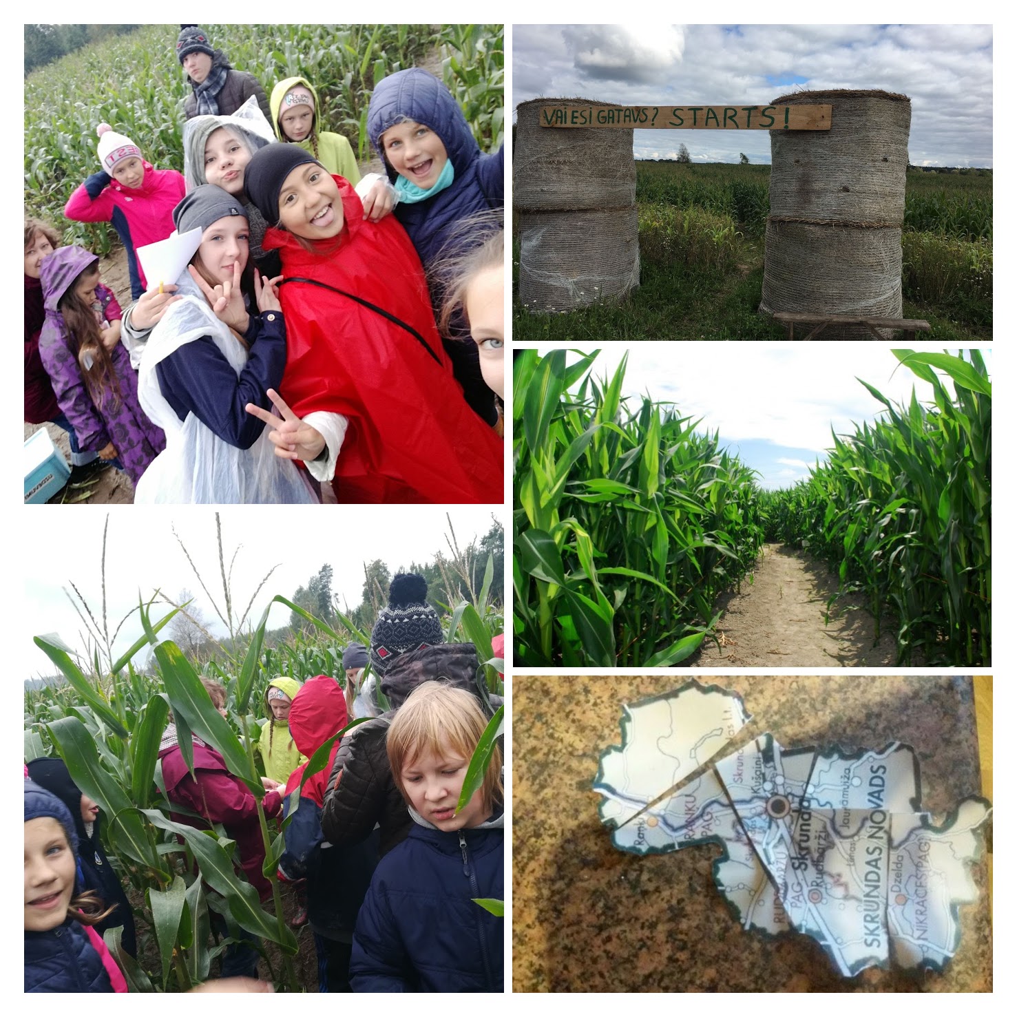 418881d5-2a30-44e7-9446-bfc45d84492a-COLLAGE