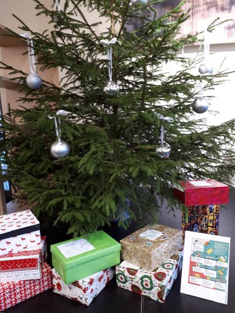 7. D Zvaigzne Austrumos dec. 2018 6