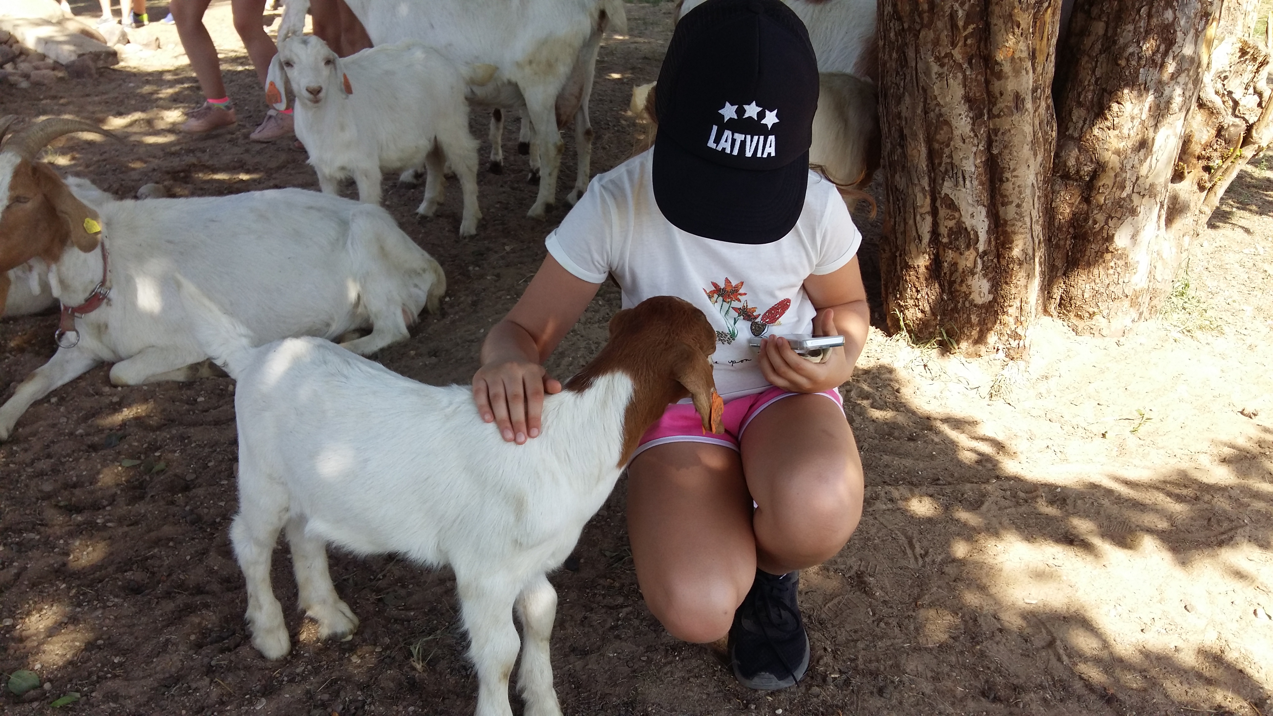 3. A ekskursija Tituls