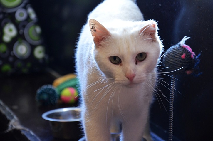 DSC 0048